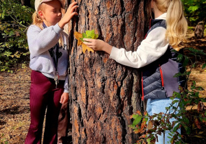 Dwie dziewczynki obejmują drzewo