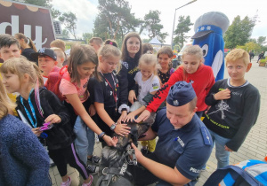 pies policyjny, który pomaga w odnalezieniu osób zaginionych.