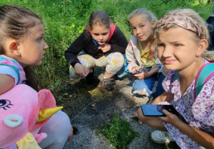 Cztery dziewczynki oglądają ślimaki