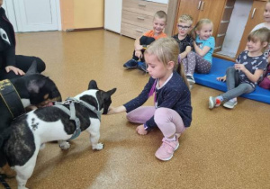 Uczennica karmi psa, w tle siedzą dzieci