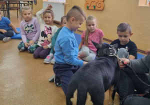 Uczniowie siedzą na podłodze i patrzą na psa