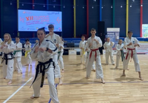 Grupa teakwondo w czasie pokazu
