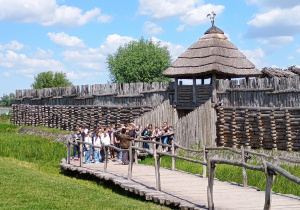 Zdjęcie 8 na 15
