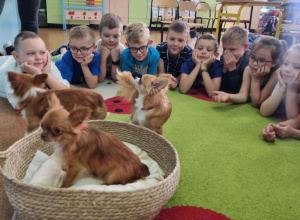 Uczniowie z zaciekawieniem patrzą na trzy pieski