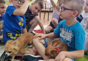 Uczniowie bawią się z psami