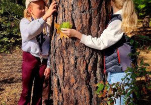 Dwie dziewczynki obejmują drzewo