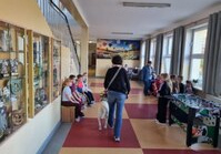 Osoba idzie z psem przewodnikiem