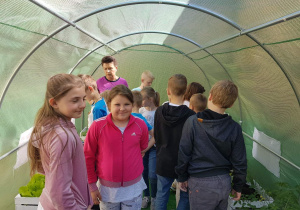 Uczniowie z wychowawczynią oglądają rośliny w ogródku szkolnym.