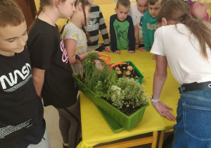Grupa uczniów przygląda się jak dziewczynka podlewa warzywa.