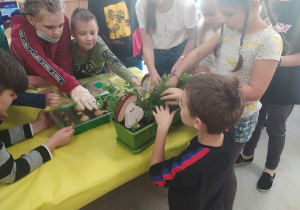 Grupa uczniów pielęgnuje warzywa.